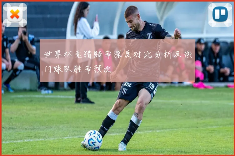世界杯竞猜赔率深度对比分析及热门球队胜率预测