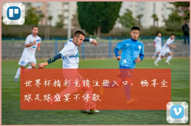 世界杯精彩竞猜注册入口，畅享全球足球盛宴不停歇