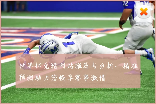 世界杯竞猜网站推荐与分析，精准预测助力您畅享赛事激情