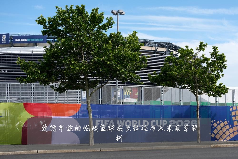 爱德华兹的崛起篮球成长轨迹与未来前景解析