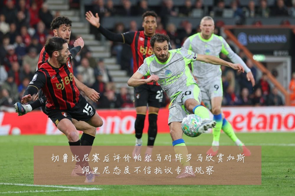 切鲁比尼赛后评价帕尔马对阵罗马欣赏加斯佩里尼态度不信抗议专题观察