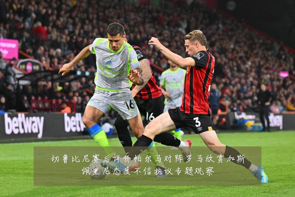 切鲁比尼赛后评价帕尔马对阵罗马欣赏加斯佩里尼态度不信抗议专题观察