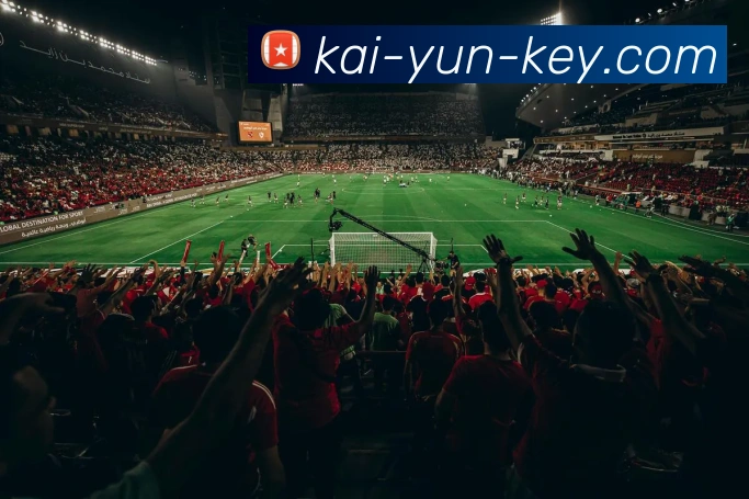 开云官网全站App